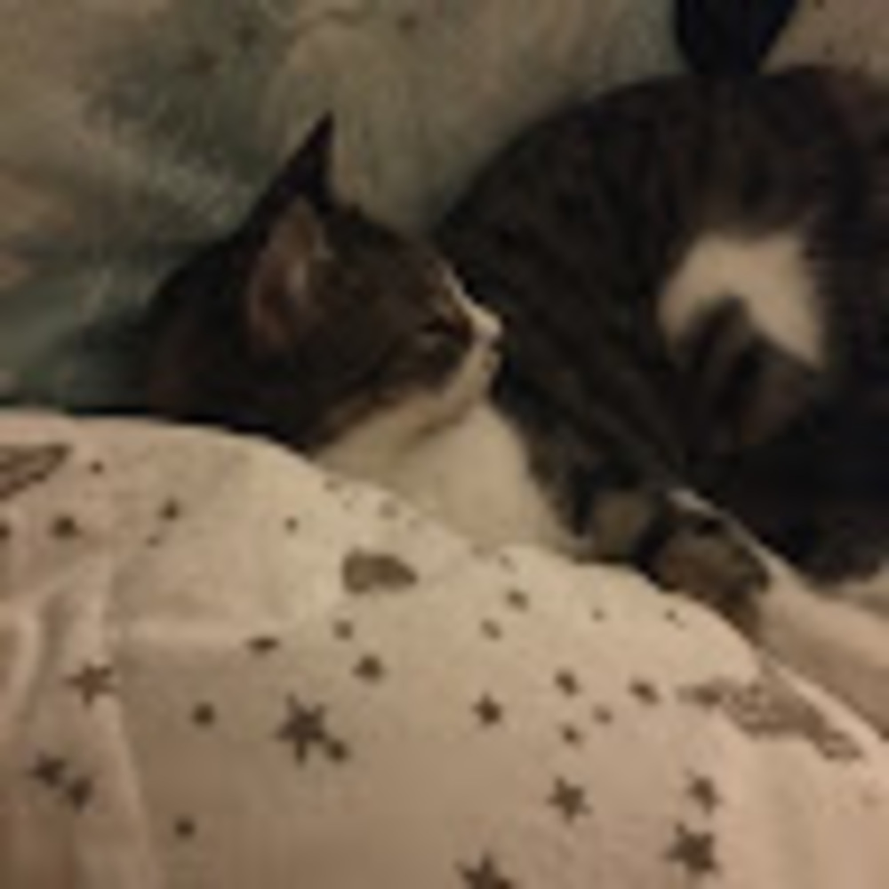 Meet your Posher, April